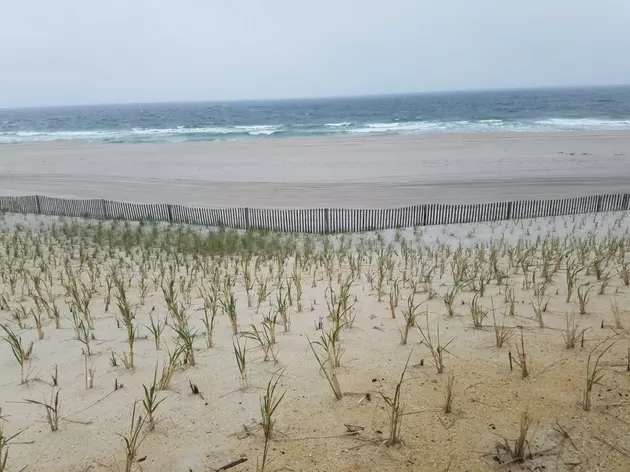 The beach in the Ortley Beach section of Toms River. (Vin Ebenau, Townsquare Media NJ)