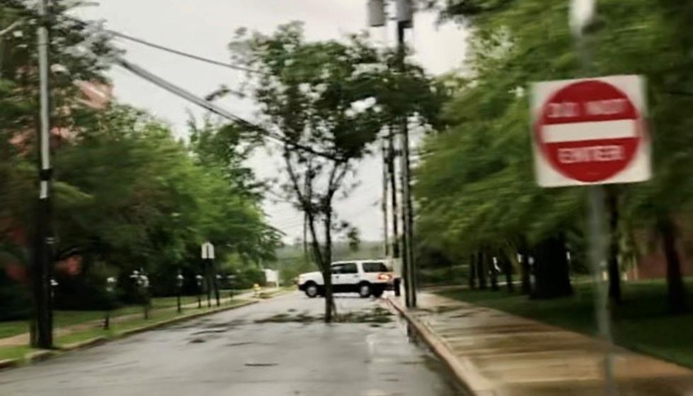 Wednesday Storm Brings Down Trees & Power Lines [Photo Gallery]