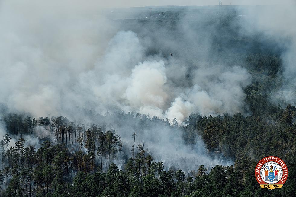Tropical Storm Fay Helps Douse Pine Barrens Wildfire