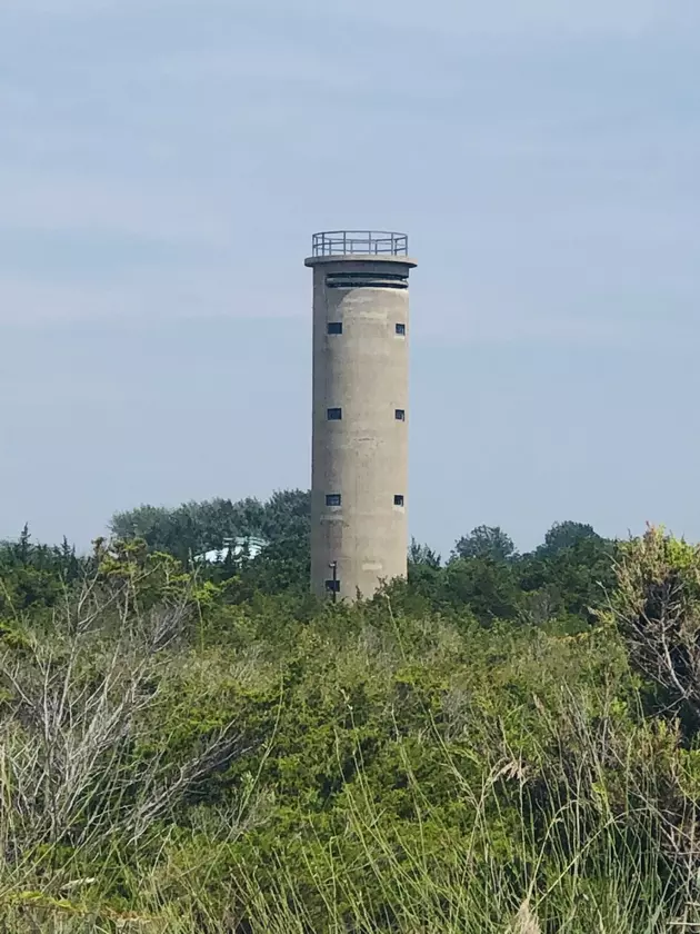 Rent a Golf Cart and See the Sites of Cape May [Photo Gallery]