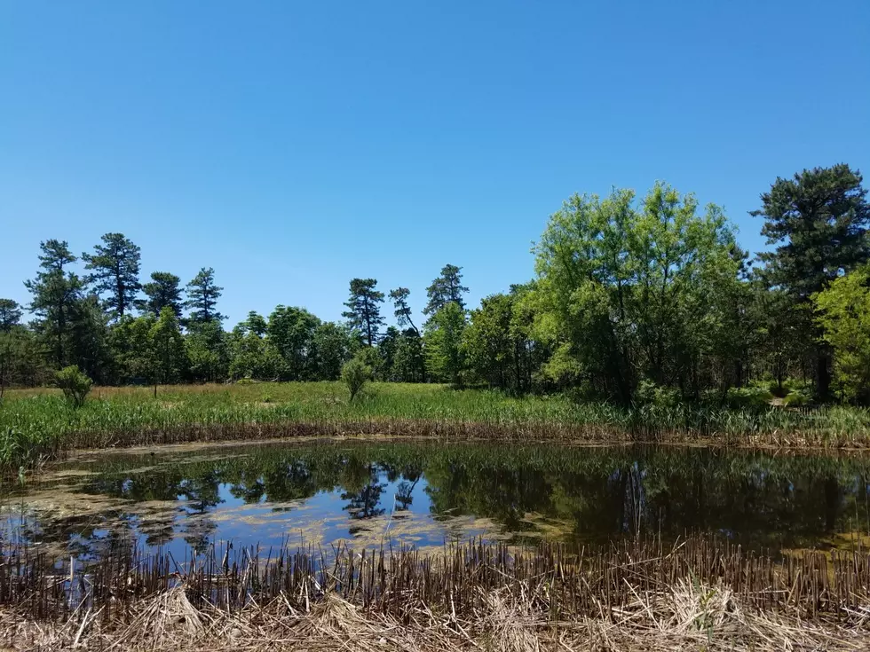 Ocean County opens up Recreation Nature and Visitor Centers at Parks