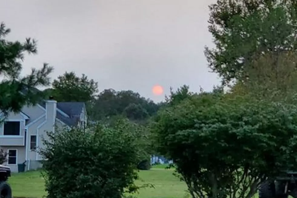 The Hazy Sun, COVID-19 in Schools and Season Over