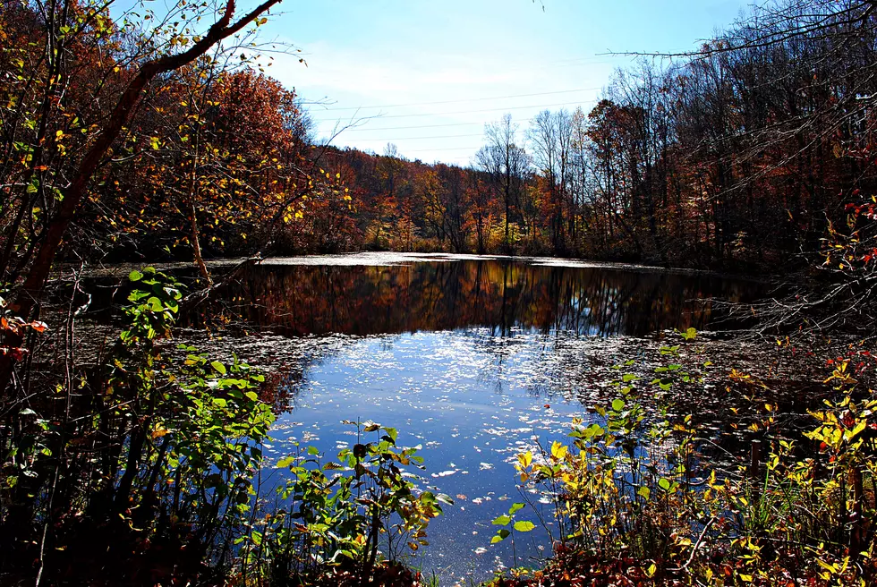 Hiking NJ: Perrineville Lake Park Millstone [VIDEO]