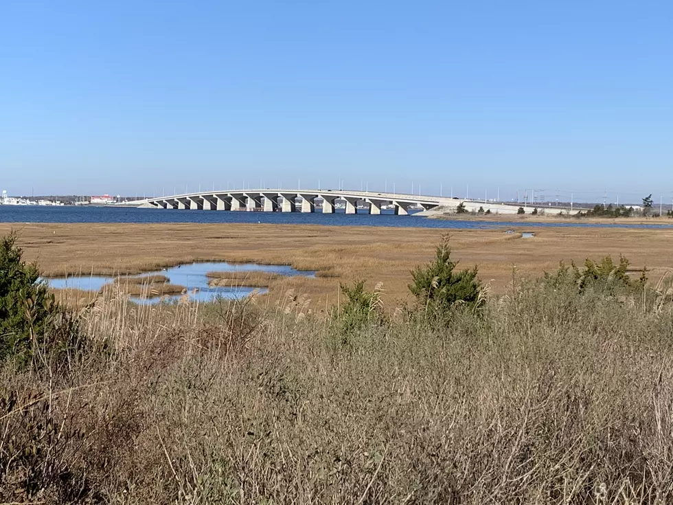 Hiking NJ: Cedar Bonnet Island Park