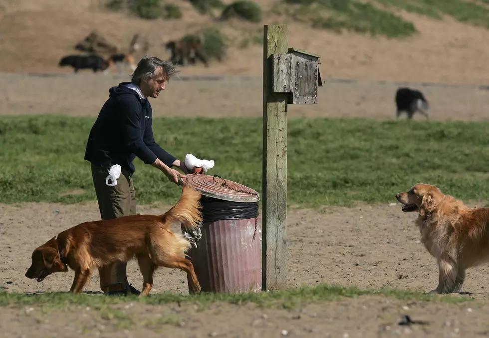 Plastic Bag Ban Means NJ Dog Owners Will Need To Get Creative