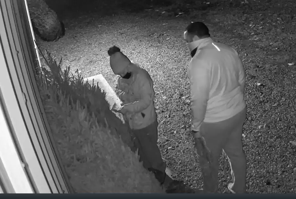 Two men wanted for stealing Christmas trees from Silverton Volunteer Fire Company