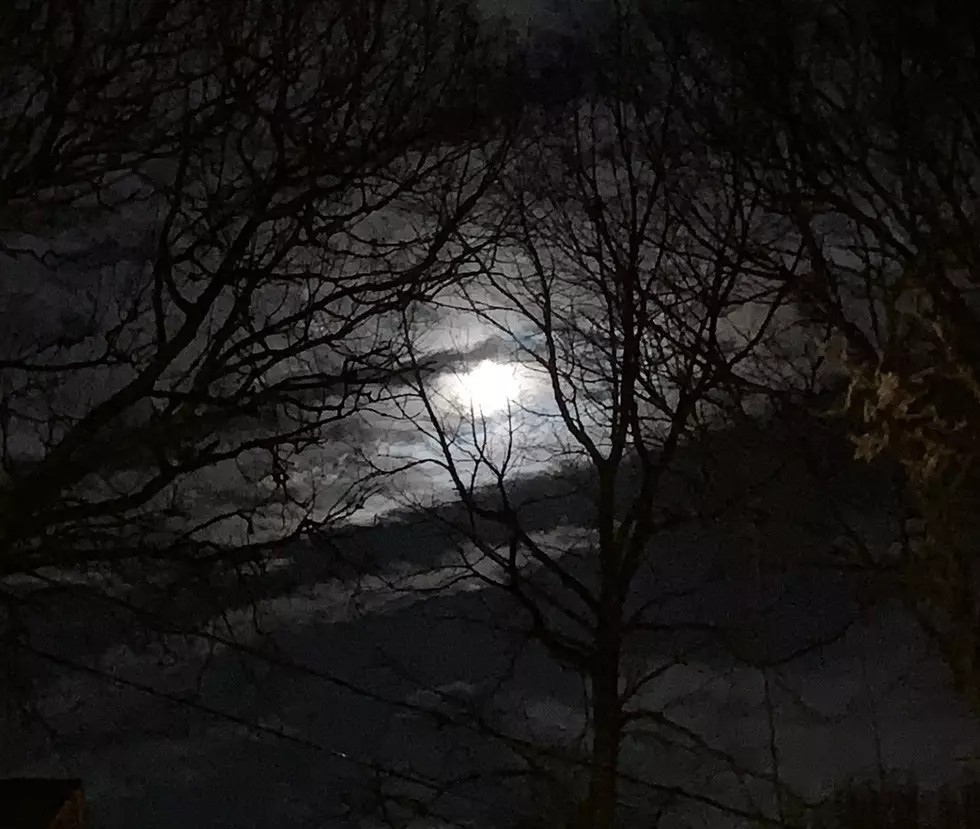 Take a Look at the Snow Moon Tonight Over Ocean County, New Jersey