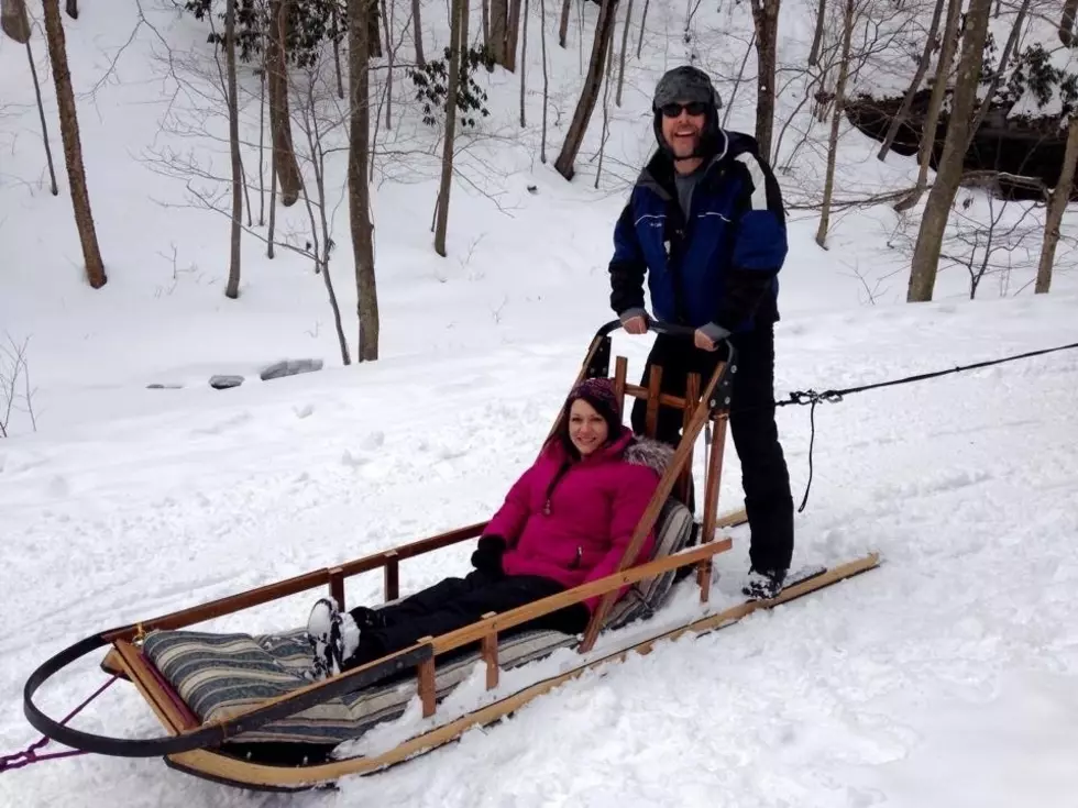 Ever Want To Go Dog Sledding in New Jersey?