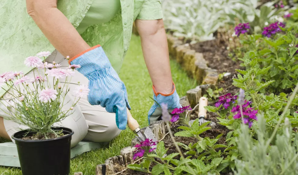 Jersey Shore Green Thumbs, Great FREE Gardening Kits Coming Soon