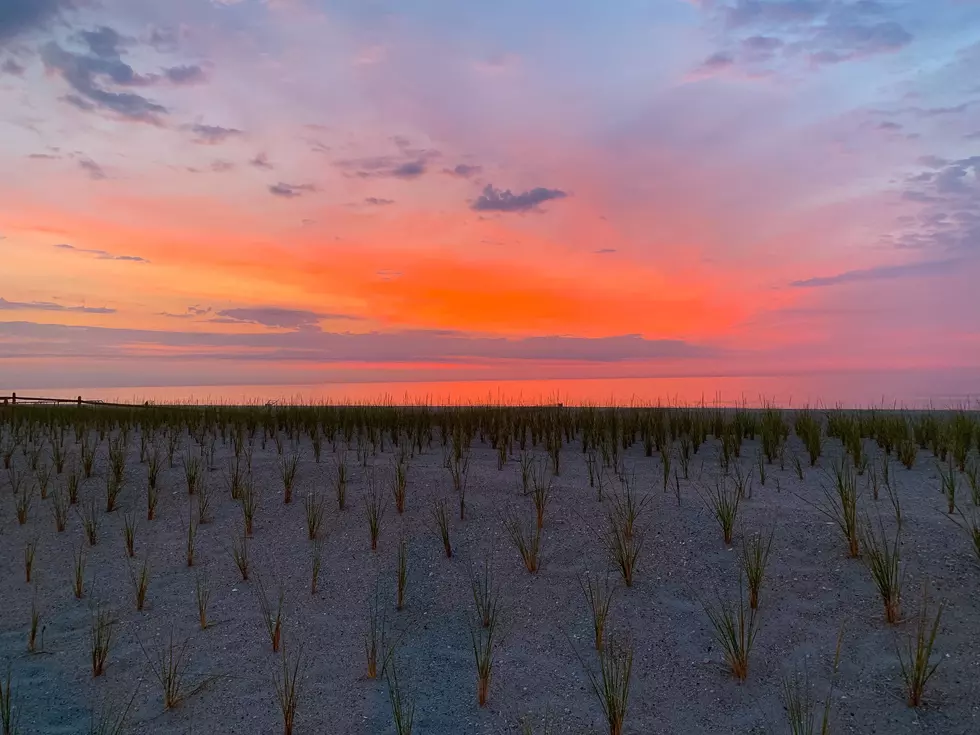 Several Hidden Beaches in New Jersey You Must Dig Your Toes into!