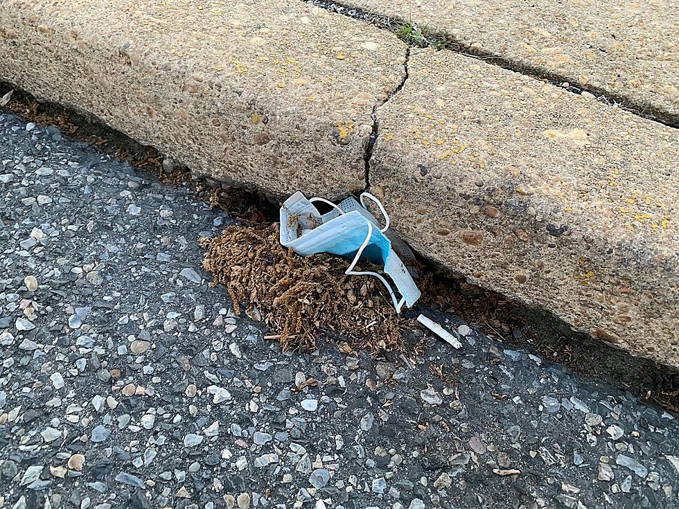 Disgusting! Stop Littering with Your Filthy Mouth Rags in Ocean County