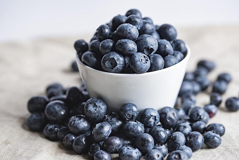 This Almost Hidden Blueberry Picking Patch is Amazing in NJ