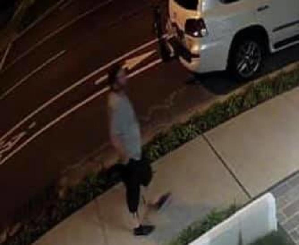 Seaside Park Police looking for man who stole lawn furniture
