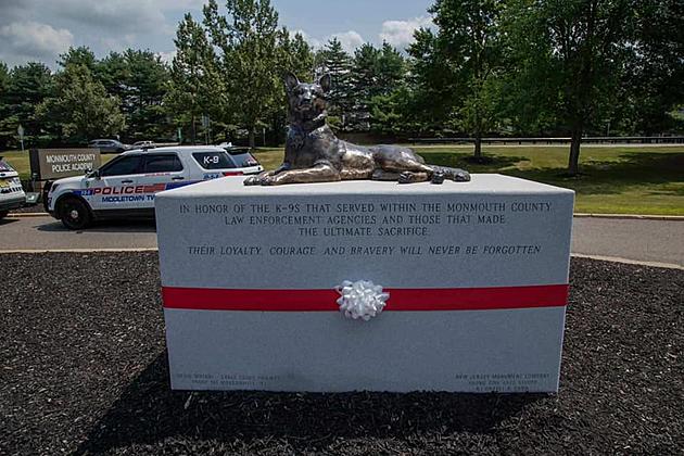 Monmouth teen dedicates Eagle Scout project to fallen K-9's