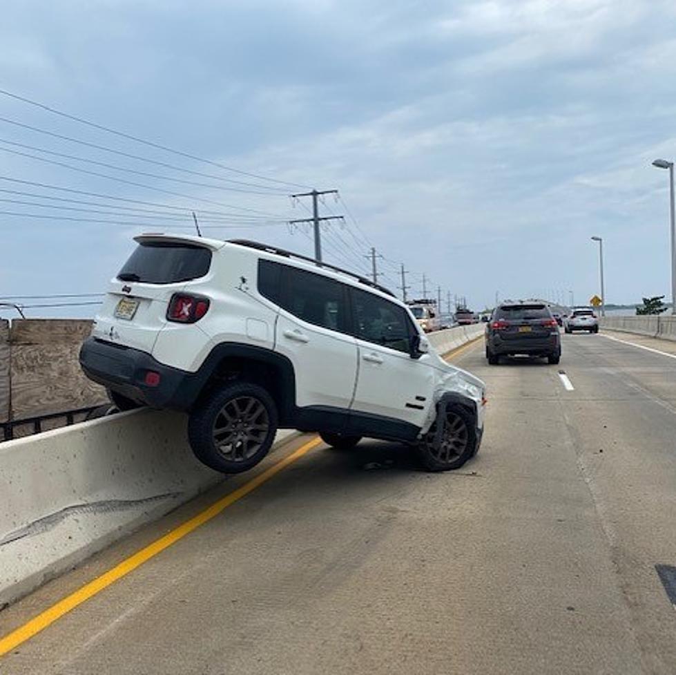 Here's What Stopped Traffic For 30 Today On Rt 72 In LBI