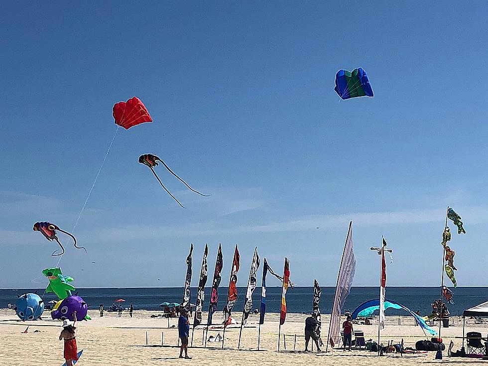 Don&#8217;t Miss Out On Jenkinson&#8217;s Annual Kite Festival Next Month