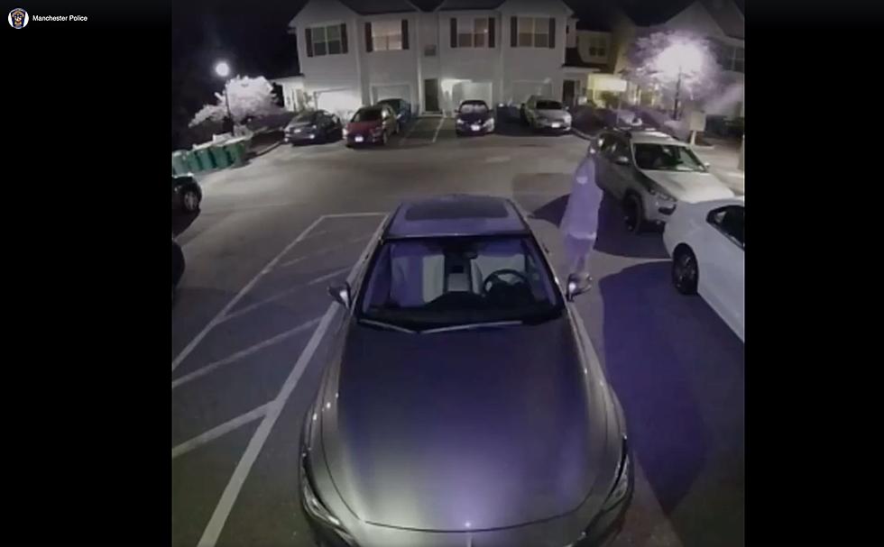 Manchester PD needs your help identifying car burglary suspects