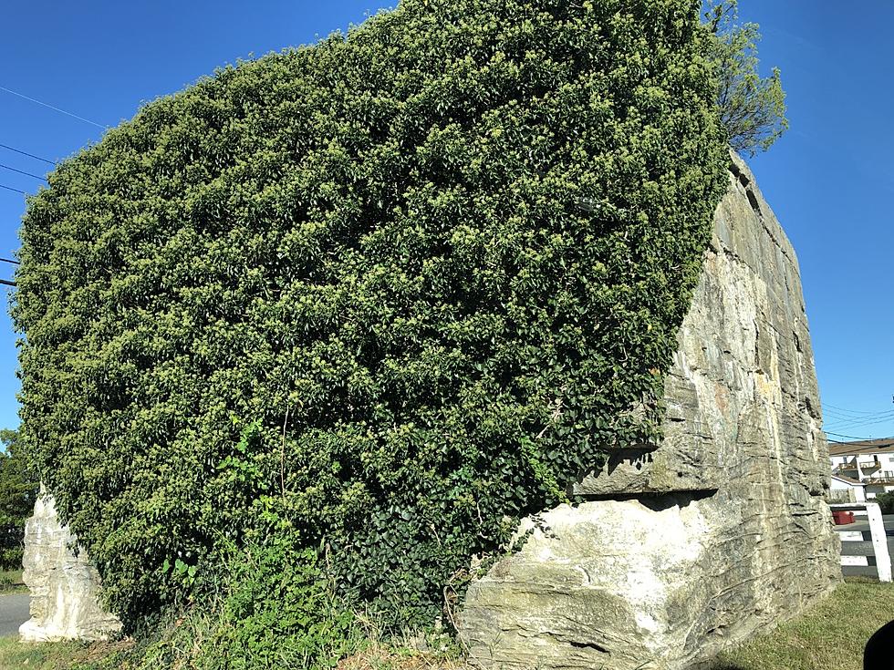 The Odd Concrete, Mountain Thingy in Mystic Island, NJ Is So Weird