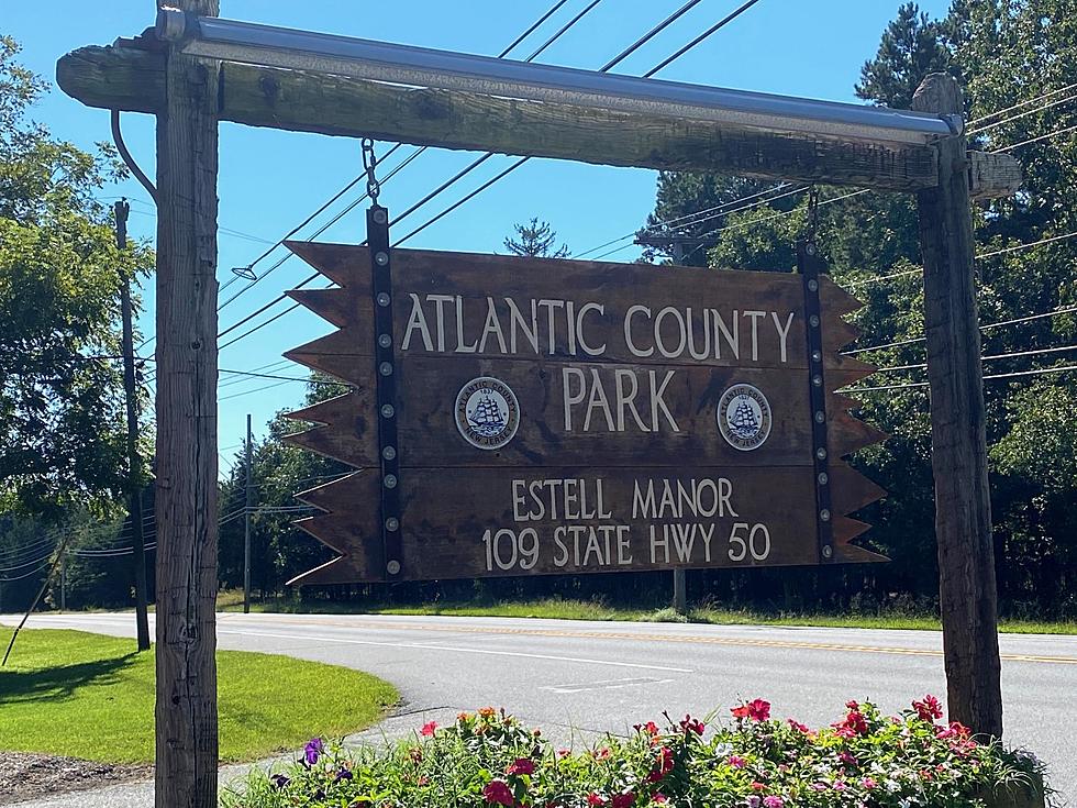 Hiking NJ: Gorgeous Estell Manor Park in Atlantic County, New Jersey [VIDEO]