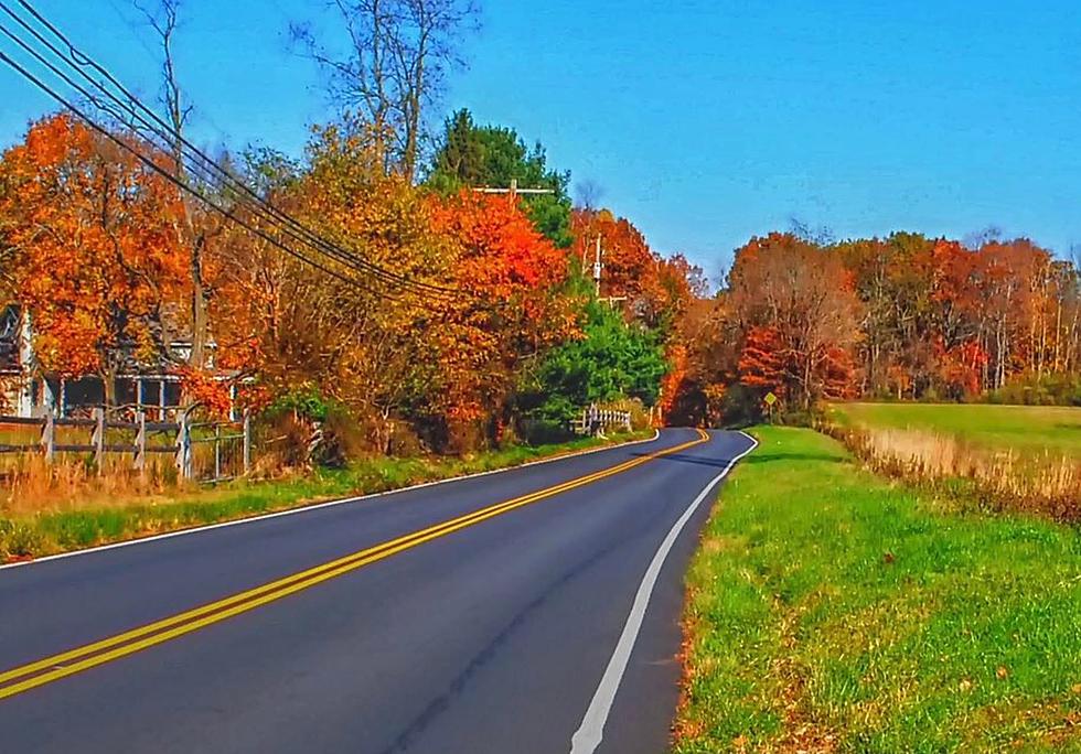 Beautiful! Do Some Virtual “Leaf Peeping” Here in New Jersey