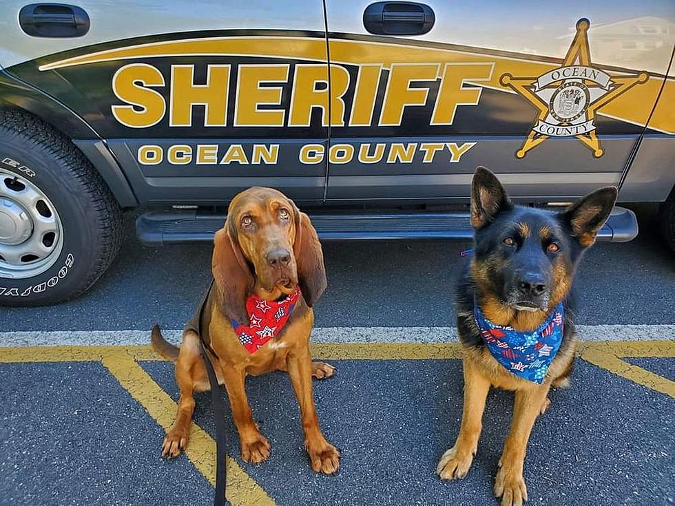 Who has the best Police K9 Dogs in NJ and the U.S.?