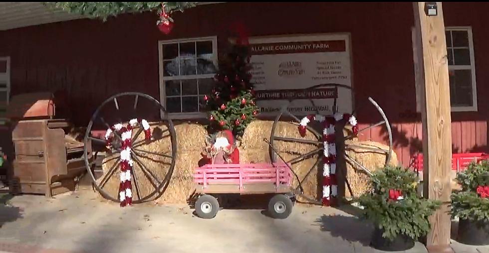 Start the holiday season off with a fantastic Christmas Hayride at Allaire Community Farm