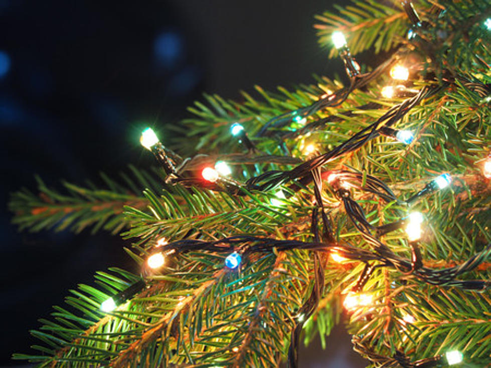 Joy! Here&#8217;s Everything You Need to Know About the Toms River, NJ Christmas Tree Lighting