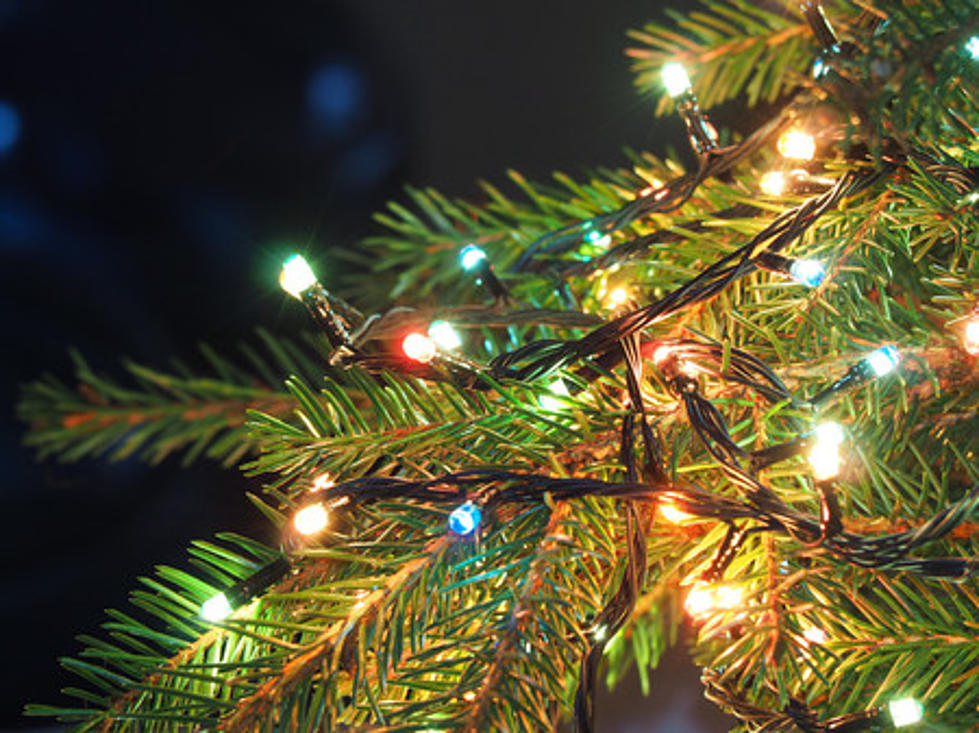 Joy! Here’s Everything You Need to Know About the Toms River, NJ Christmas Tree Lighting