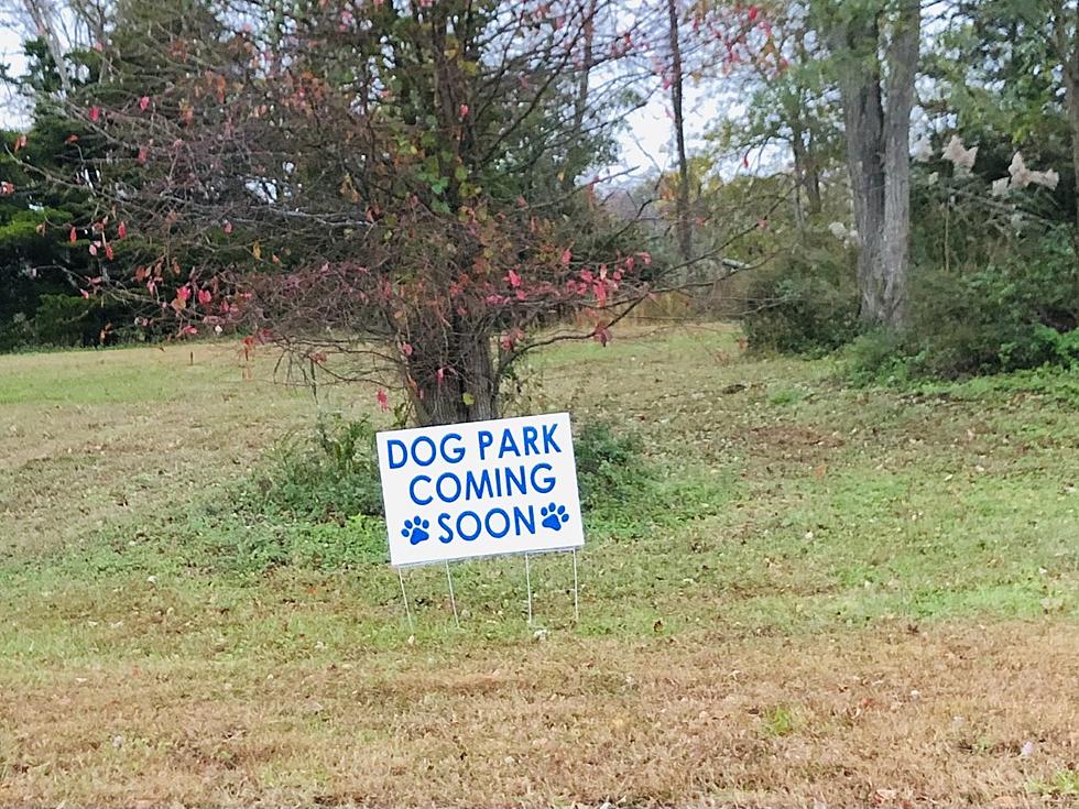 Woof! A Brand New Dog Park is Coming to Ocean County, NJ; Get Your Tails Wagging