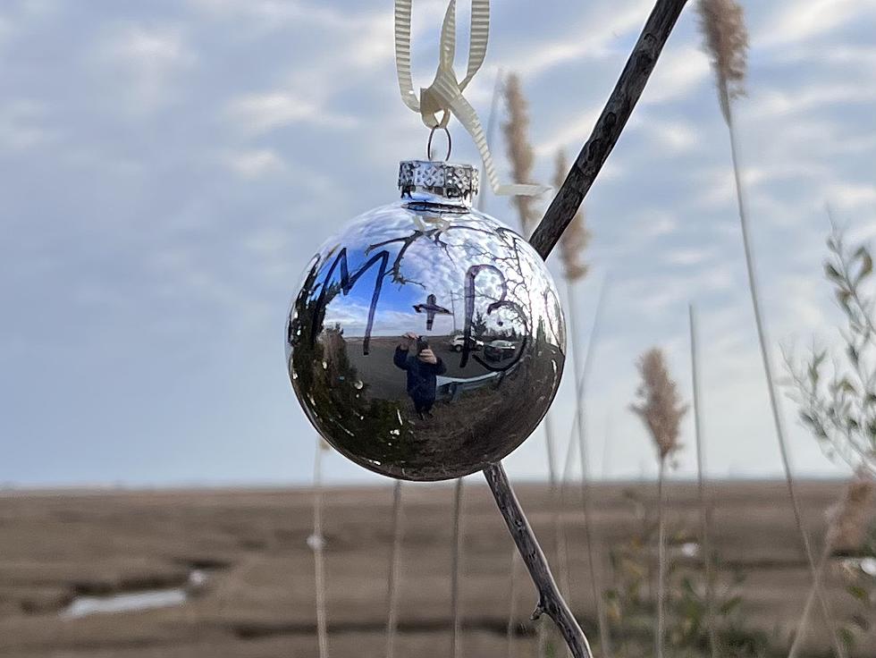 Mystery Christmas Trees Are Back in Ocean County