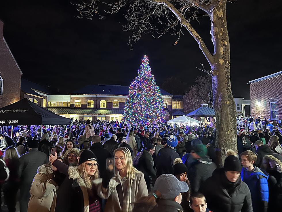 Downtown Toms River Christmas Tree Lighting 