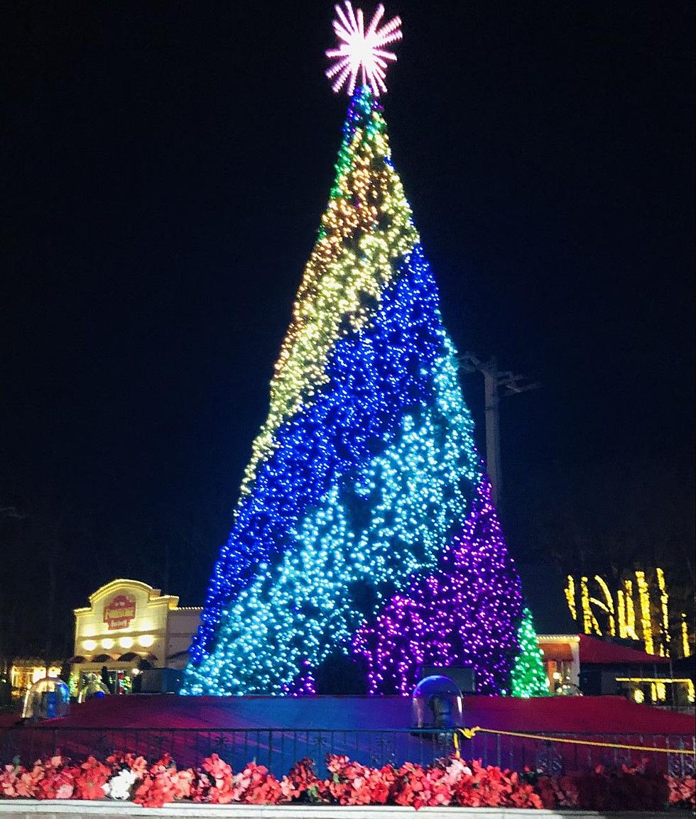 The Six Flags Holiday Light Drive-Thru[Photo Gallery]