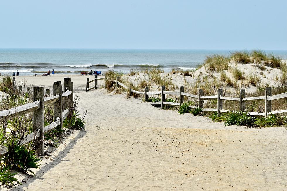 Some of the Most Beautiful Beaches in America are Right Here in New Jersey