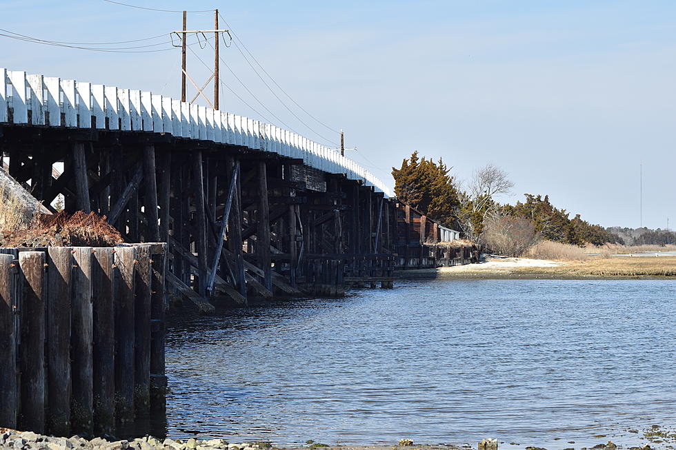 Another Beautiful Location To Hike in Ocean County, New Jersey