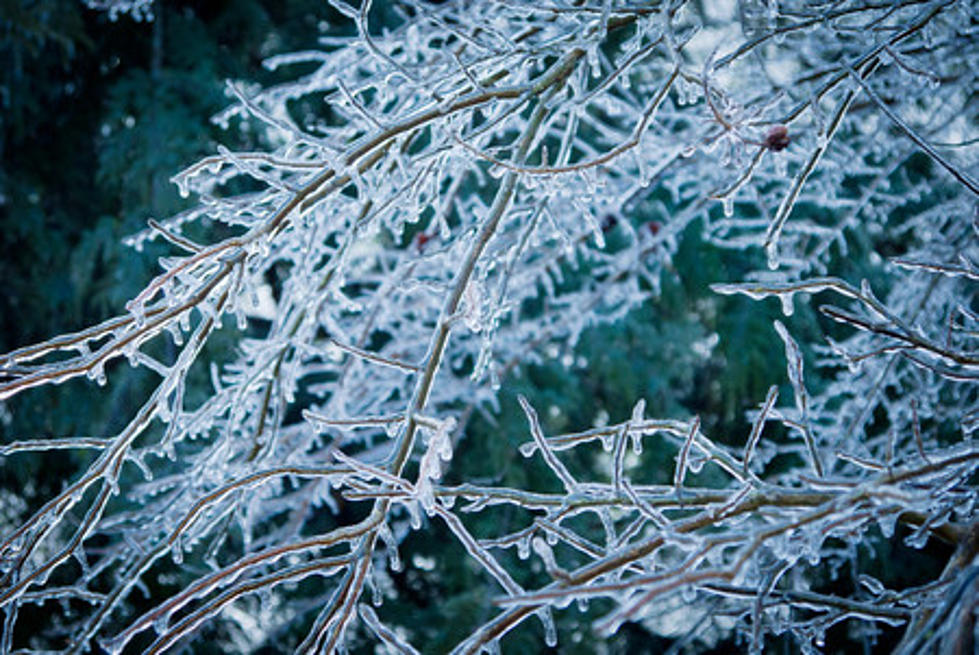 Oh No! An Ice Storm is Coming to New Jersey