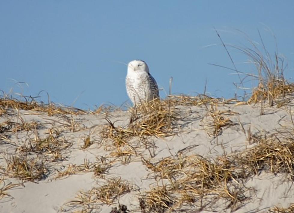 Amazing! The Jersey Shore&#8217;s Most Underestimated Beautiful Beach in New Jersey