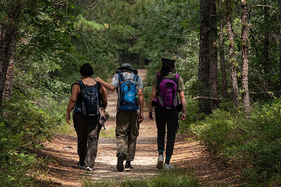 Take A Mysterious Hike at the Shore 