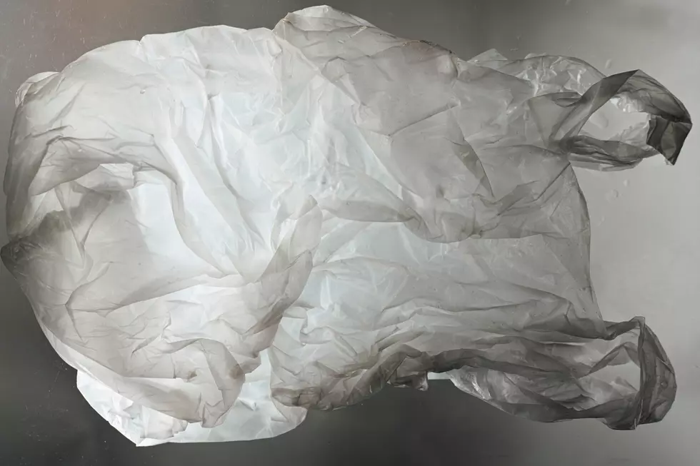 Why New Jersey Shouldn&#8217;t Panic over Plastic Bag Ban