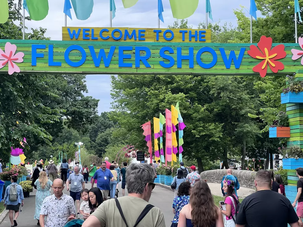 Go Inside the Amazing Philadelphia Flower Show Going On Now 