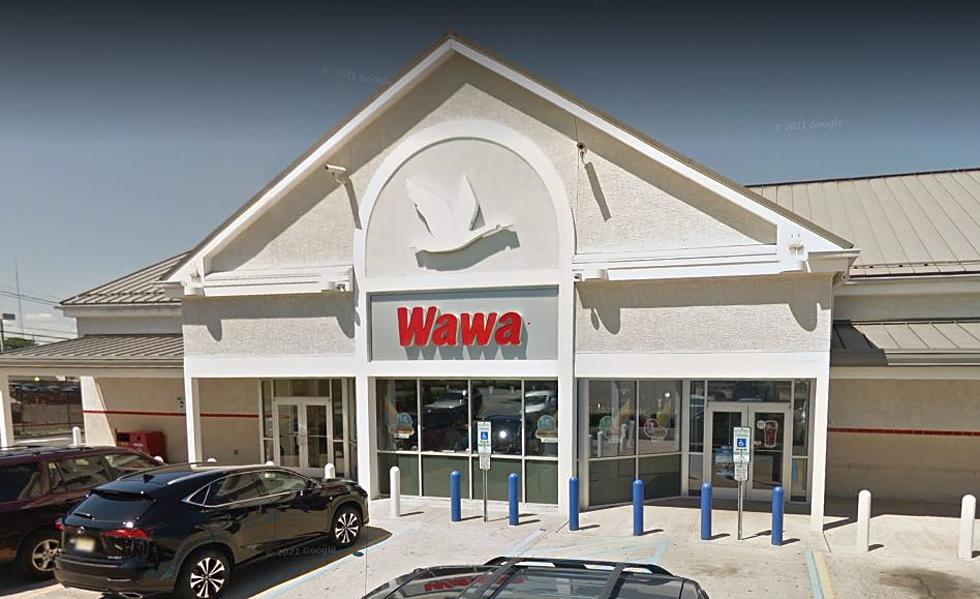 Just in Time For Summer Hoagiefest Returns at Wawa