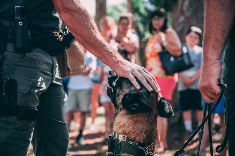 Meet the Toms River Township Police K-9 Unit