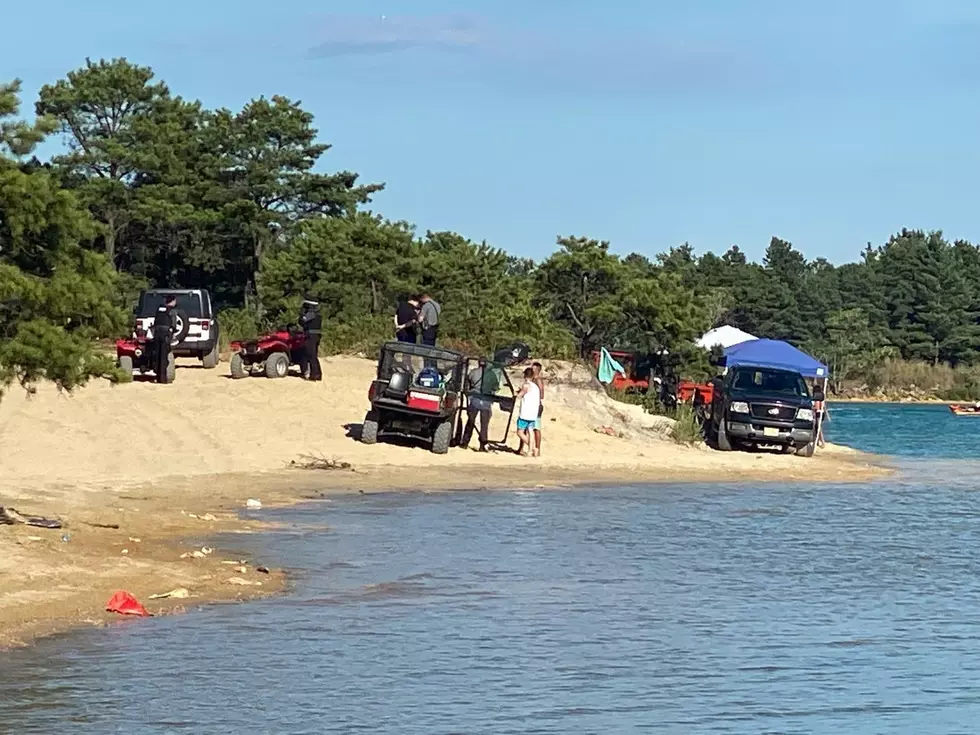 (Photo Courtesy: Manchester Township Police Department)