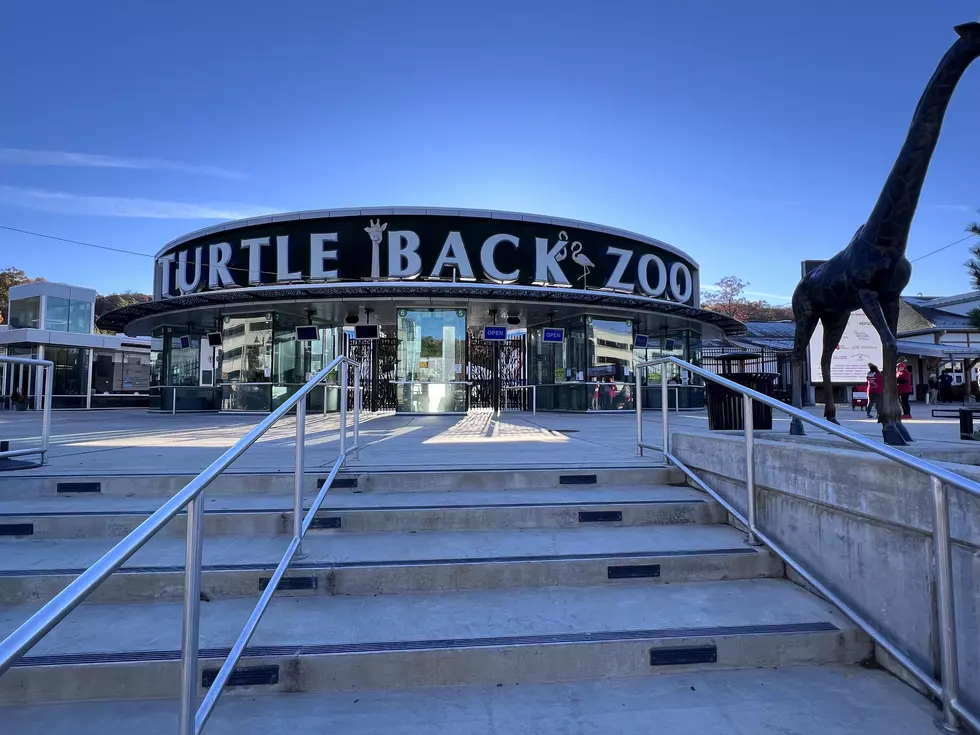 Animal Lovers It's a Fantastic Day Trip to Turtle Back Zoo