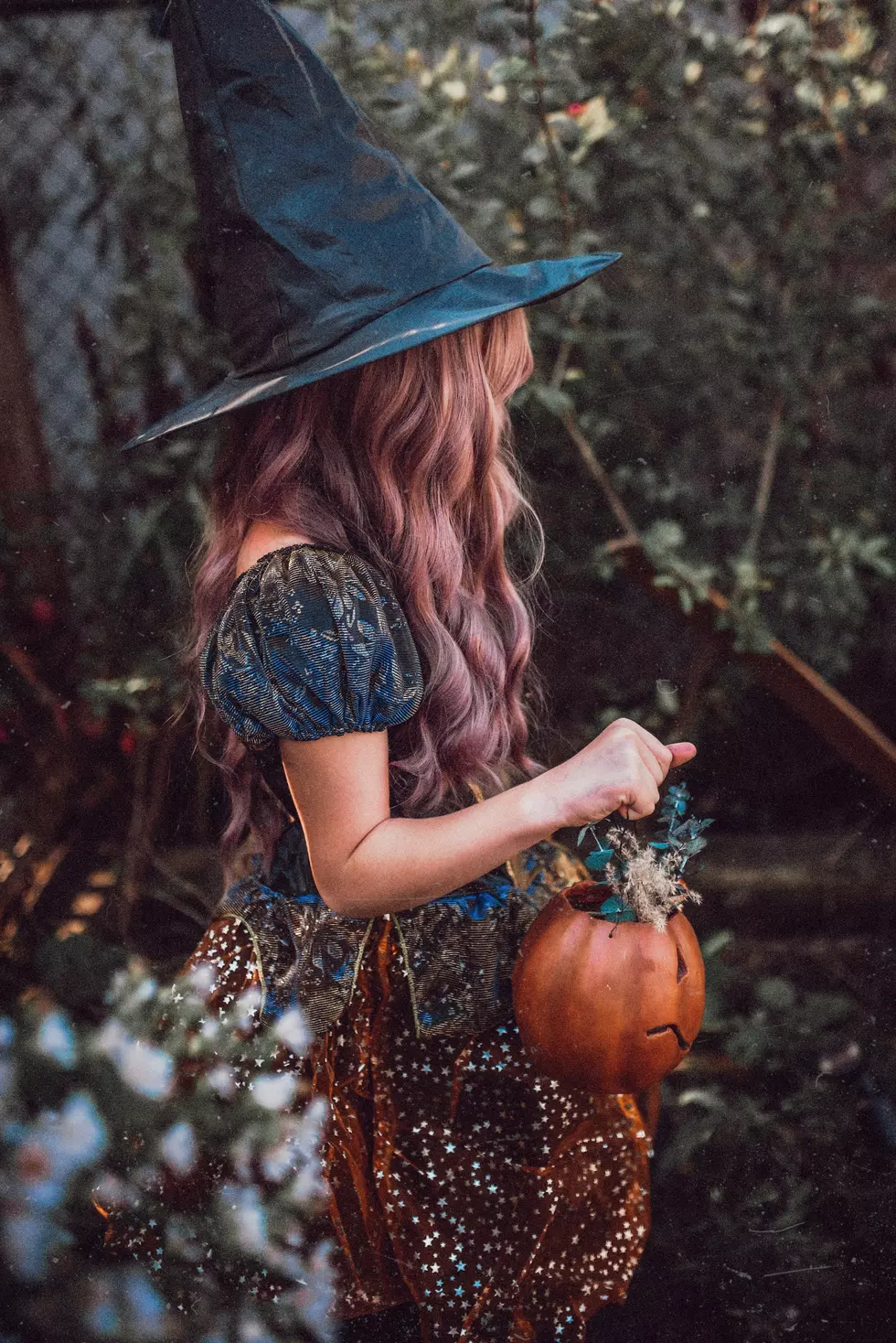 Unsplash.com Paige Cody