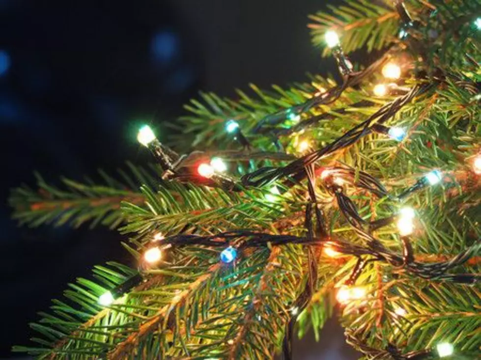 8 Joyous Christmas Tree Lightings in Ocean County, NJ