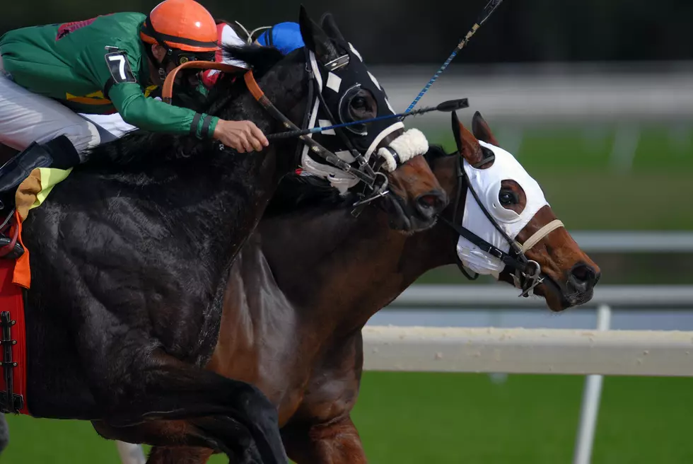 Awesome! Beautiful Monmouth Park Racetrack Announces Its Opening 