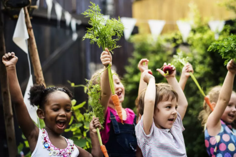 Nature Schools in New Jersey Are Becoming Very Popular, School Outside Everyday