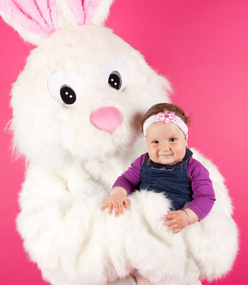 The Fabulous Cute Easter Bunny is Coming to Toms River, NJ