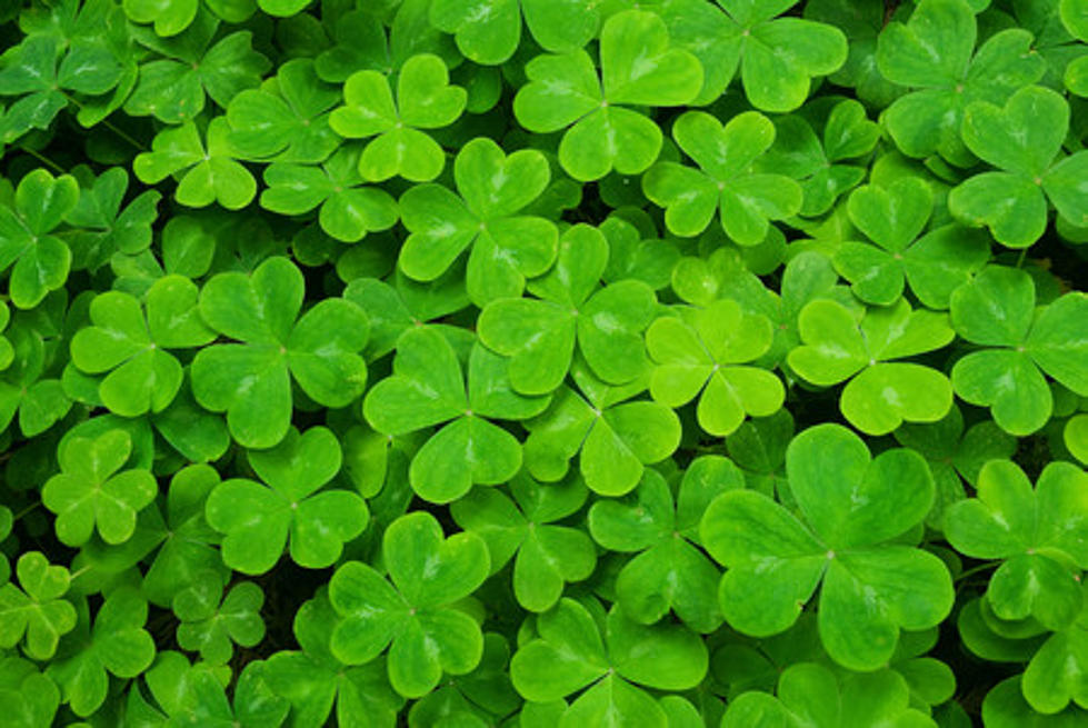 3 of the Biggest St. Patrick's Day Parades at the Jersey Shore