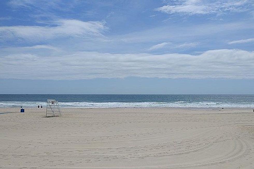 Primed for success: here is the secret to a successful summer in Monmouth County, NJ